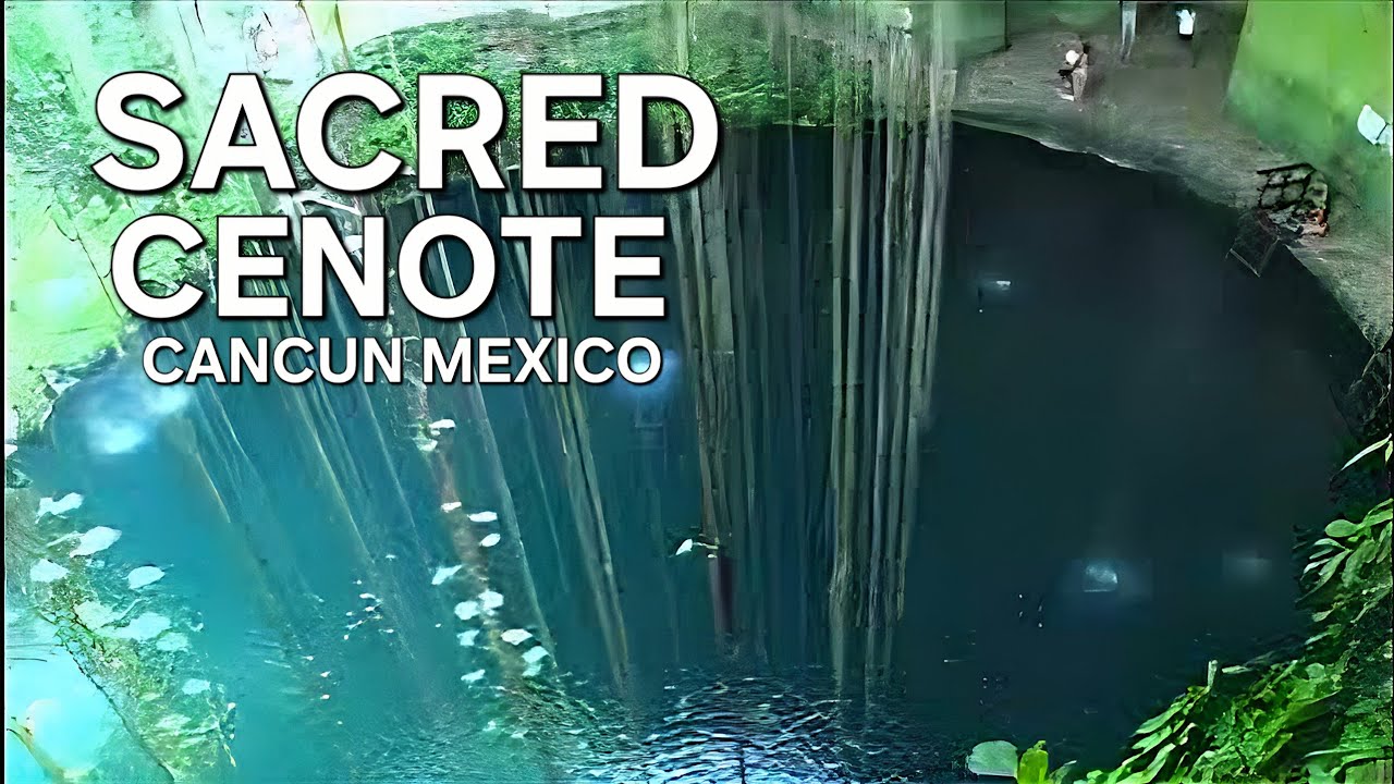 SACRED CENOTE - CANCUN , MEXICO