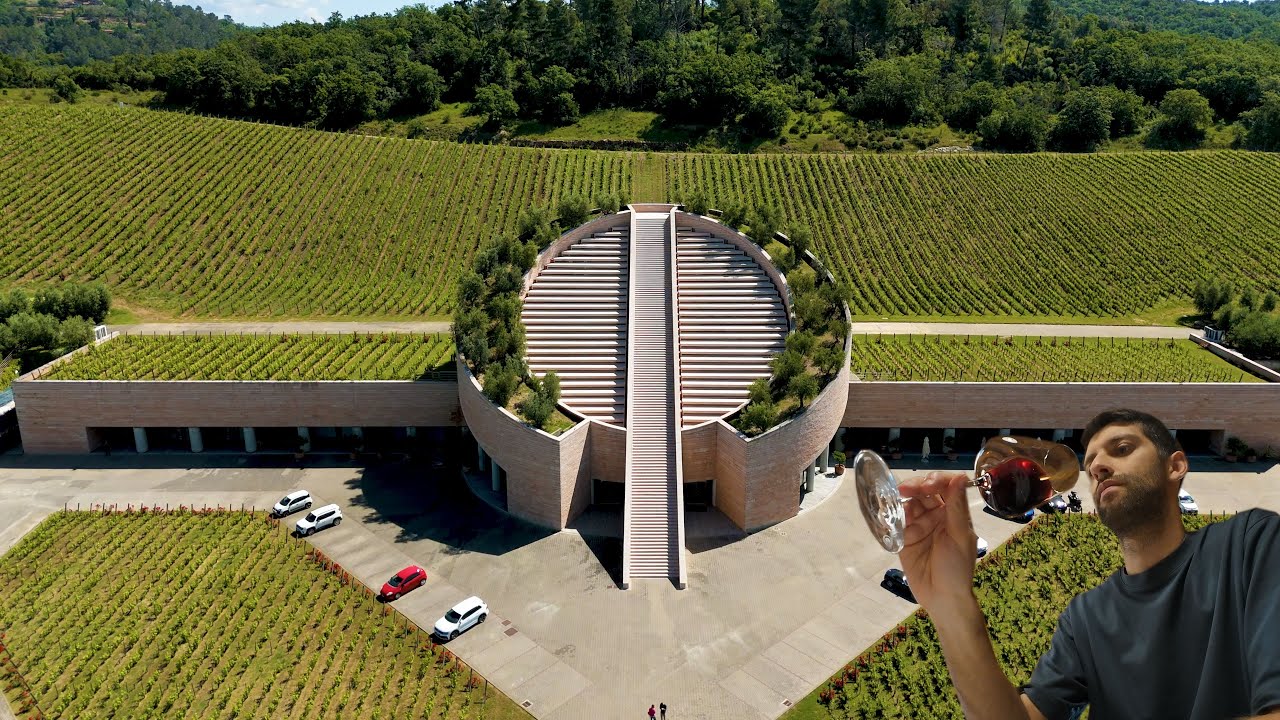 Toscana in un sorso: PETRA WINE EXPERIENCE
