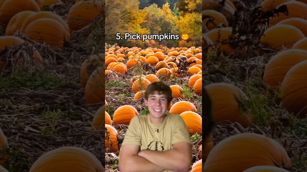 Fun things to do this fall! 🍂 #fall #halloween #funny #meme #relateable