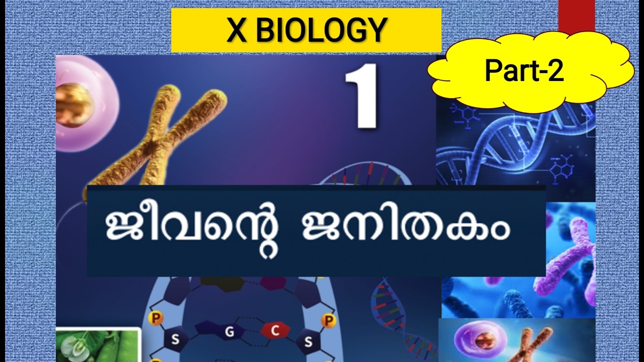 ജീവന്റെ ജനിതകം SSLC biology  chapter 1 newtextbook class10  Part 2  പ്രോട്ടീൻ നിർമ്മാണം