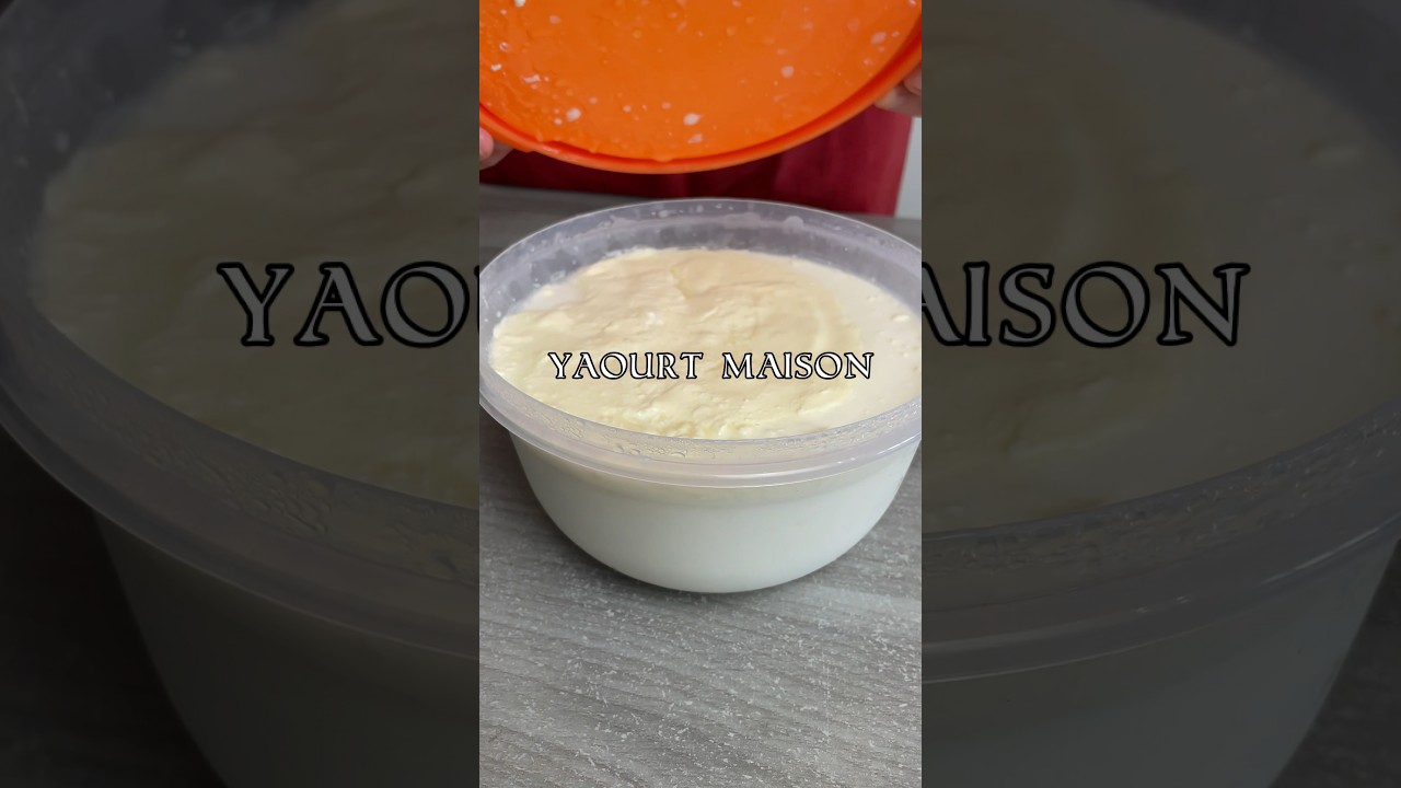 Yaourt maison (seulement 2 ingr&eacute;dients)