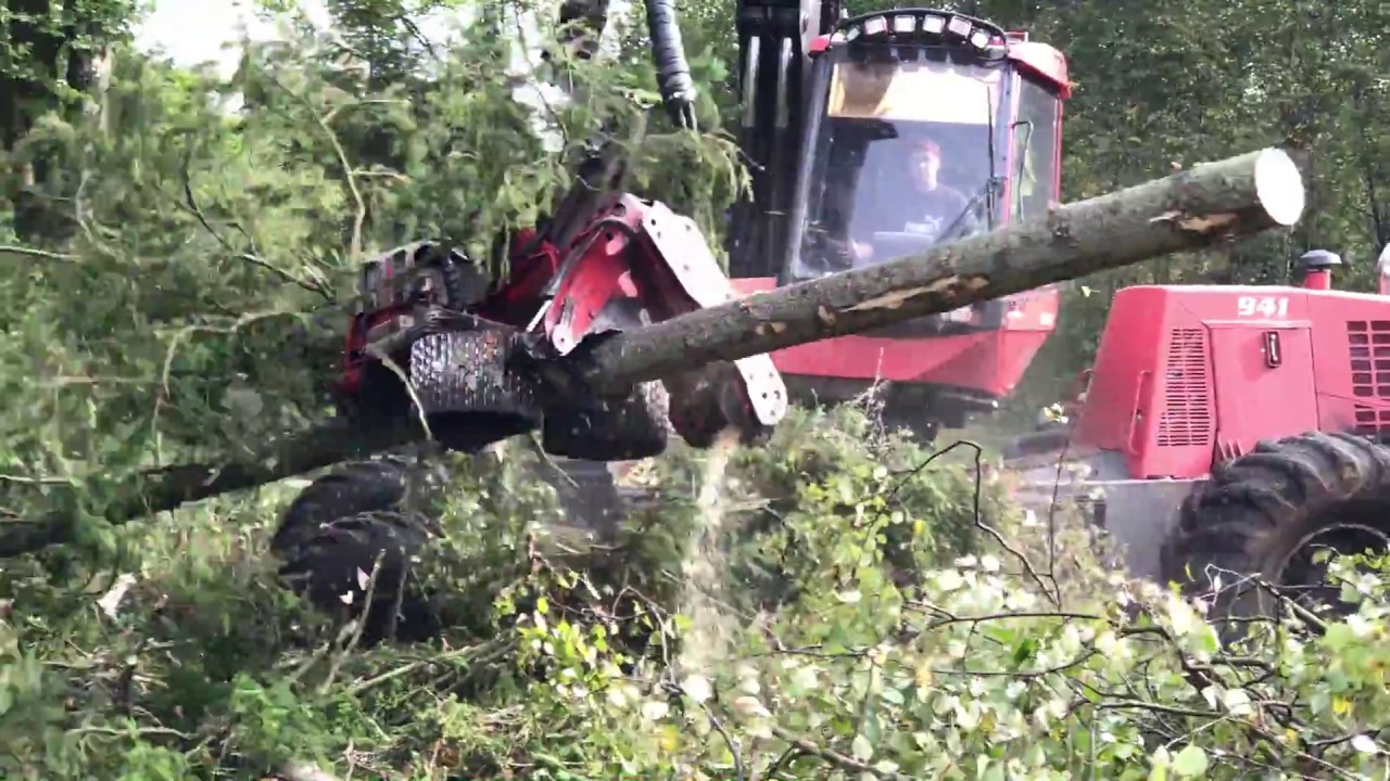 Valmet 941 med Log Max 6000B Klaravik