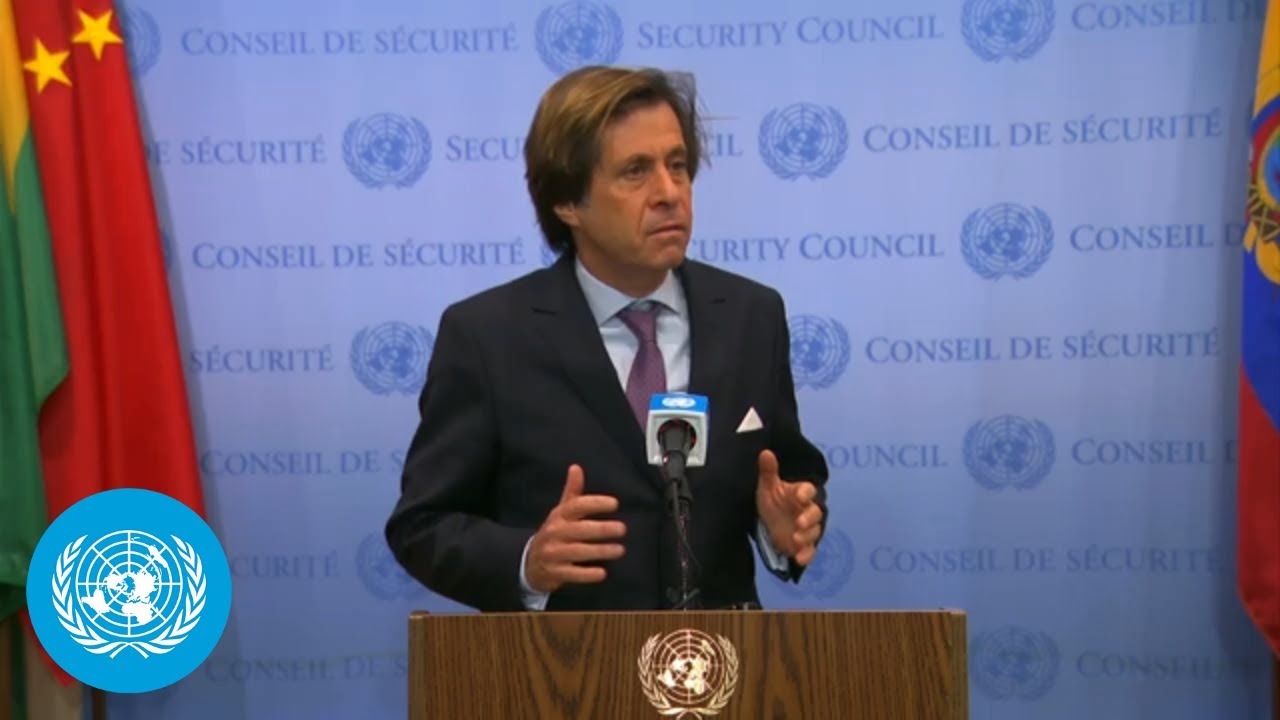 France on the Israel/Palestine Crisis | Security Council | United Nations