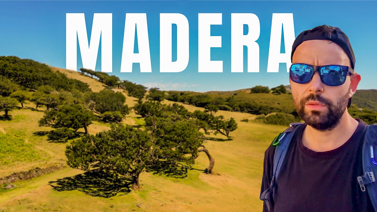 🌿 Magia Madery – Las Fanal i trekking lewadą 25 Fontes i Risco 🇵🇹✨ #Madera #4K #madeira