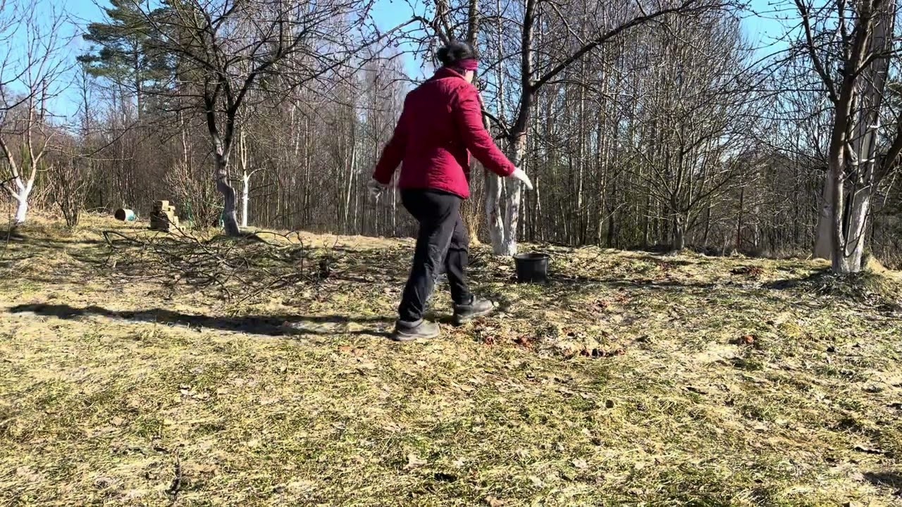 Мои два дня в делах и заботах