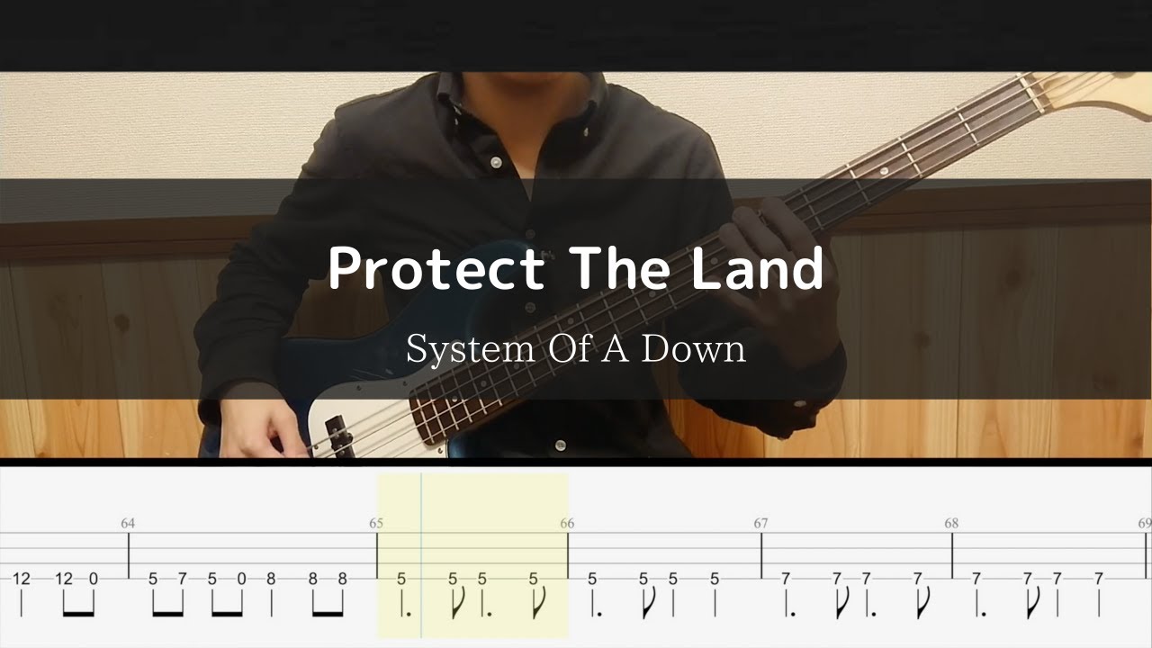 System Of A Down - Protect The Land - Bass Cover TAB