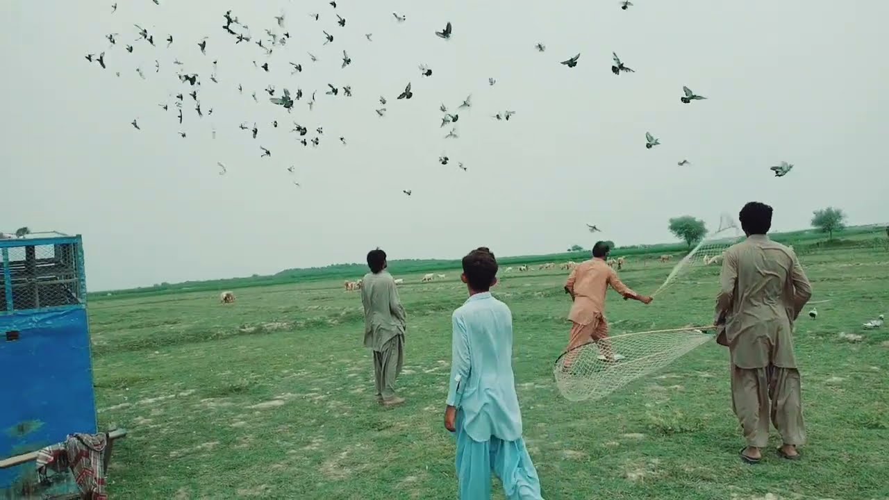 غلام فرید کھوسہ با مقابلہ نظر خان چکرانیBade jadbazi ka muqabla