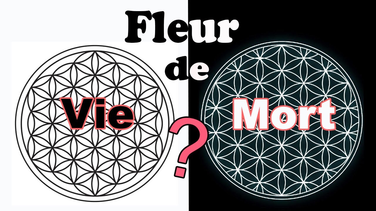 Fleur de vie ou de mort pour l'humanité ? Géométrie sacrée, utile ou néfaste ?