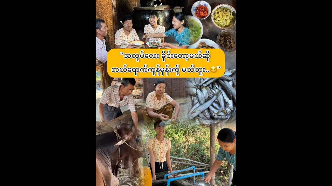 “အမေ့လက်ရာ ငါးလေးထောင်းကြော်ကရှယ်..”