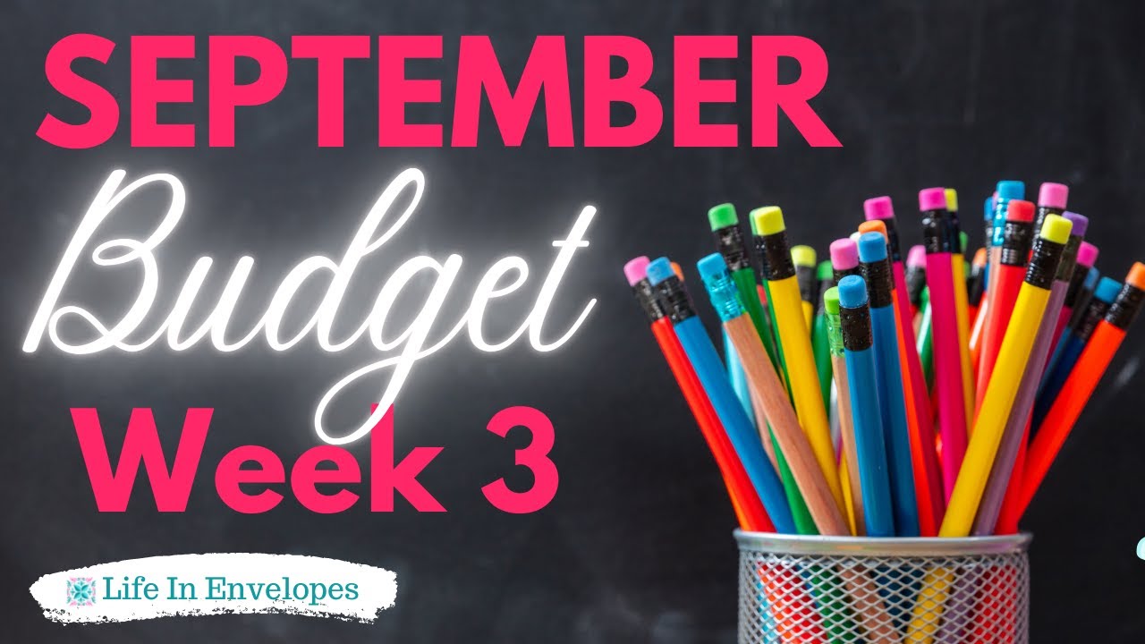 Budget Weekly Check In / Low Income / The Budget Mom / Life In Envelopes Stickers