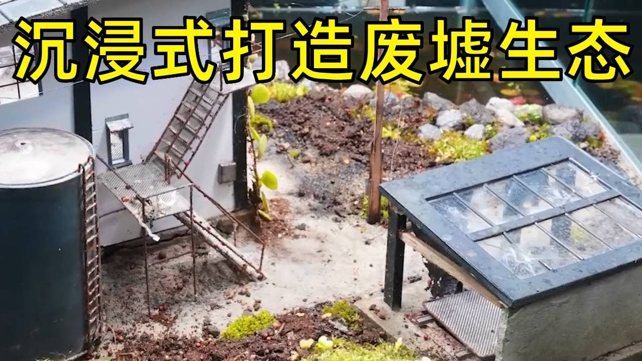 当人类消失后，模拟废墟生态系统的演变，上帝视角是什么样？【天野侠】