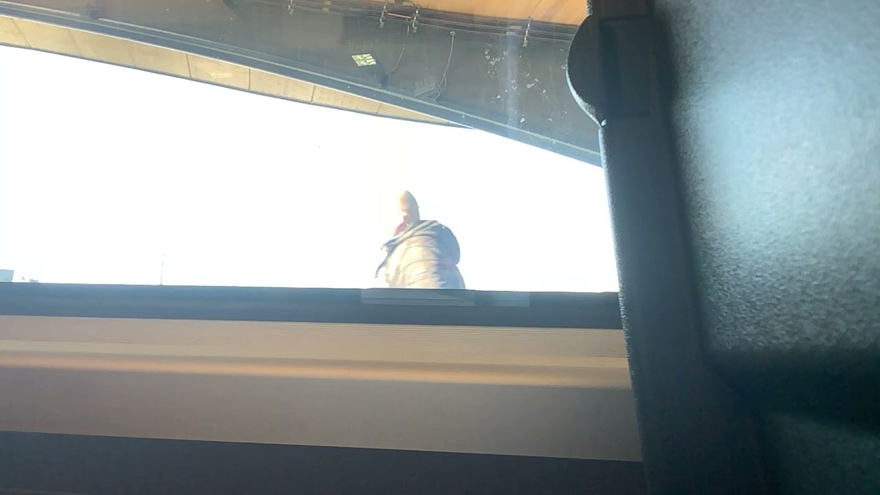 Train Oslo to Halden on the new Follo line