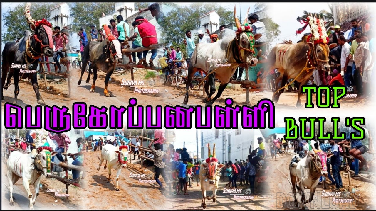 PERUGOPPANAPALLI ERUTHUKATTU PART-1 || FULL HD 1080p || பெருகோப்பனபள்ளி