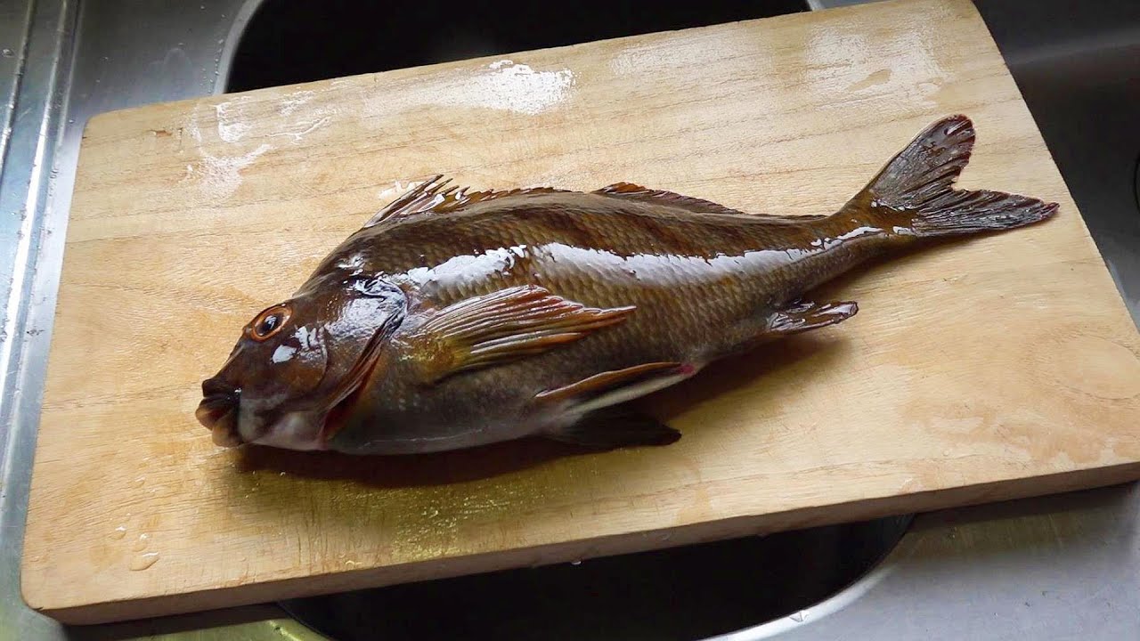 タカノハダイを料理して食べました