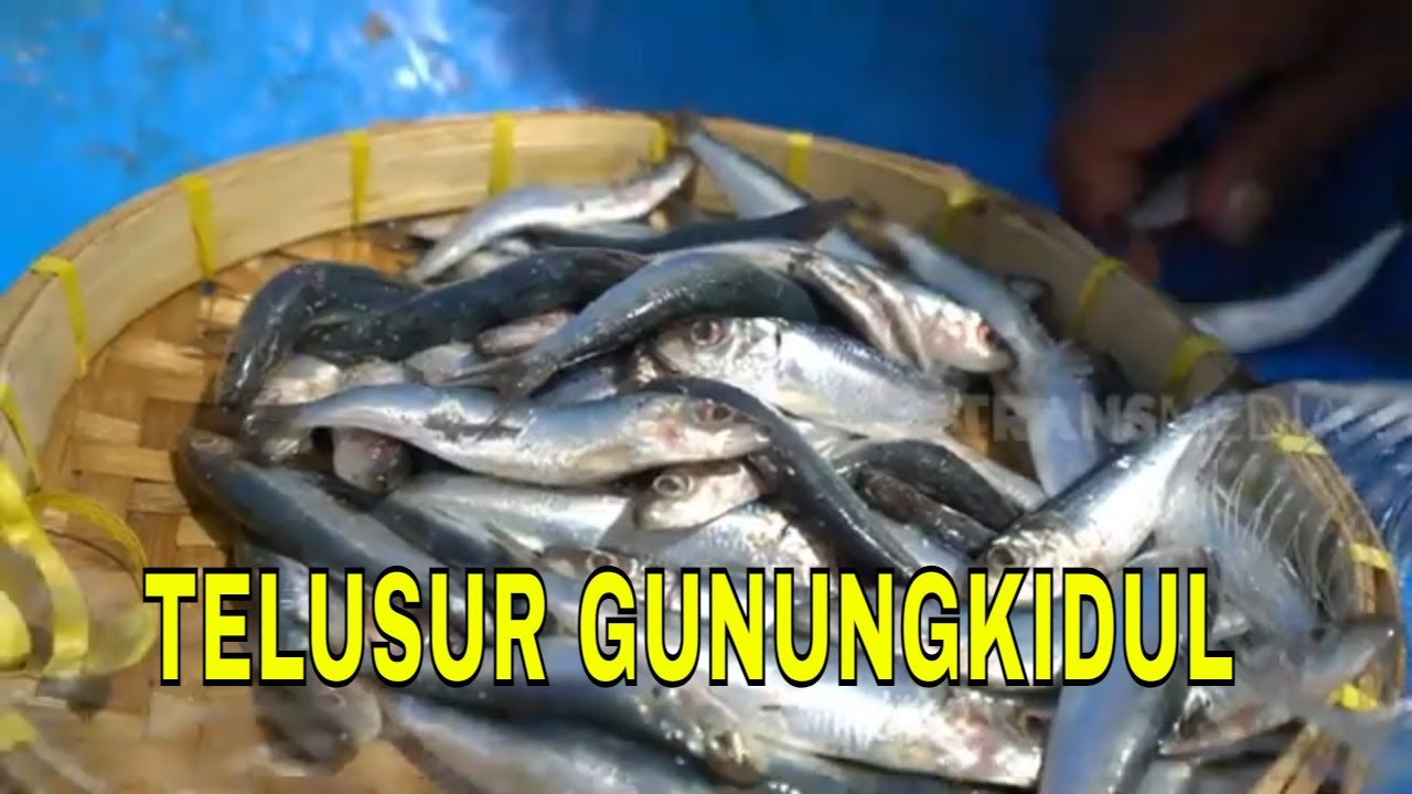 [FULL] TELUSUR GUNUNGKIDUL | JEJAK ANAK NEGERI (02/03/23)