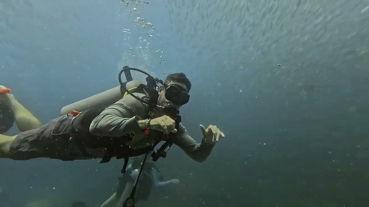 Discovery Divers Koh Samui Thailand. Subscribe!! Book now 🥂☺️