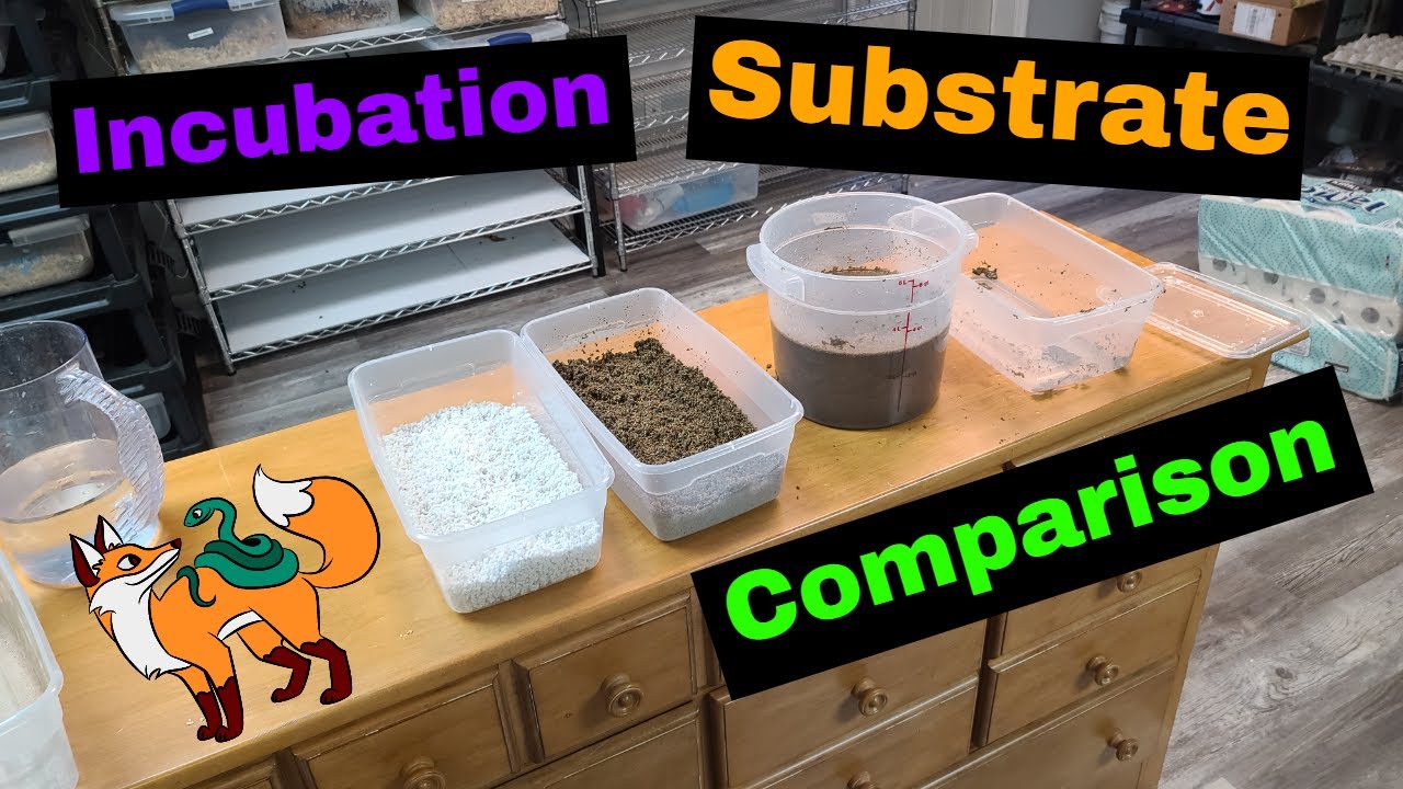2021 Breeding Season - Incubation Substrate Comparison