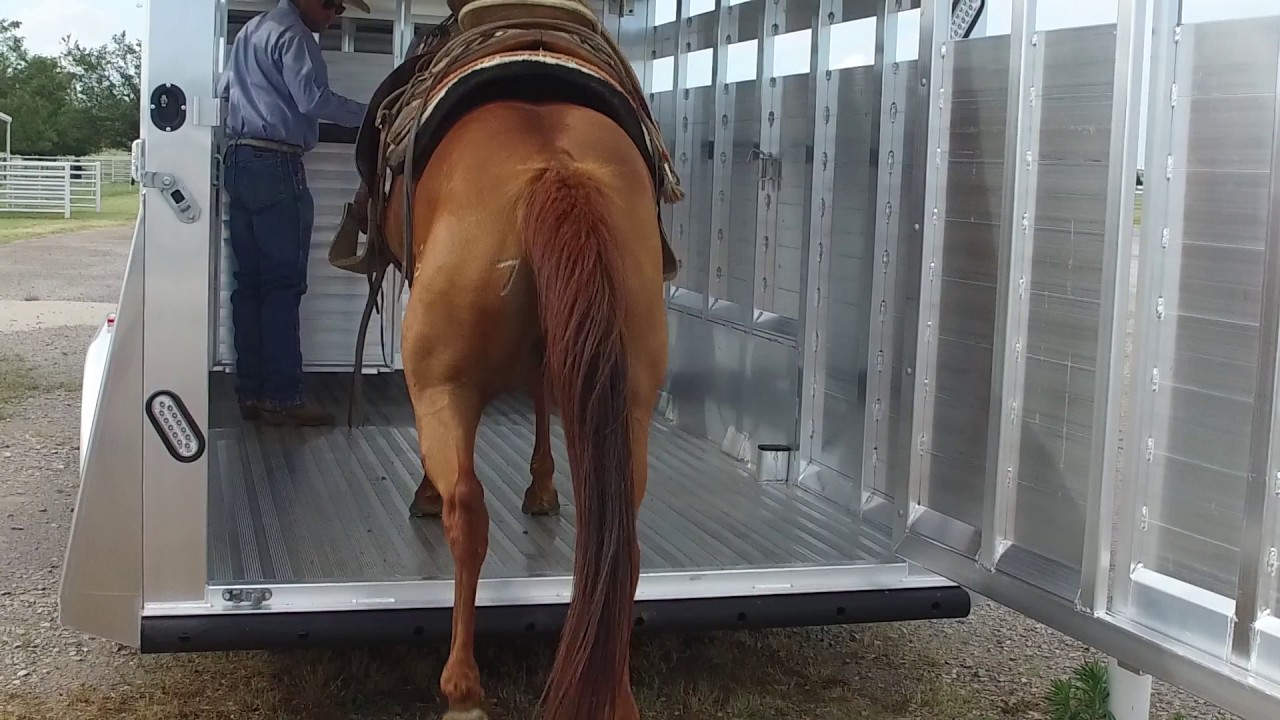 Express Ranch Sooner Livestock Trailer