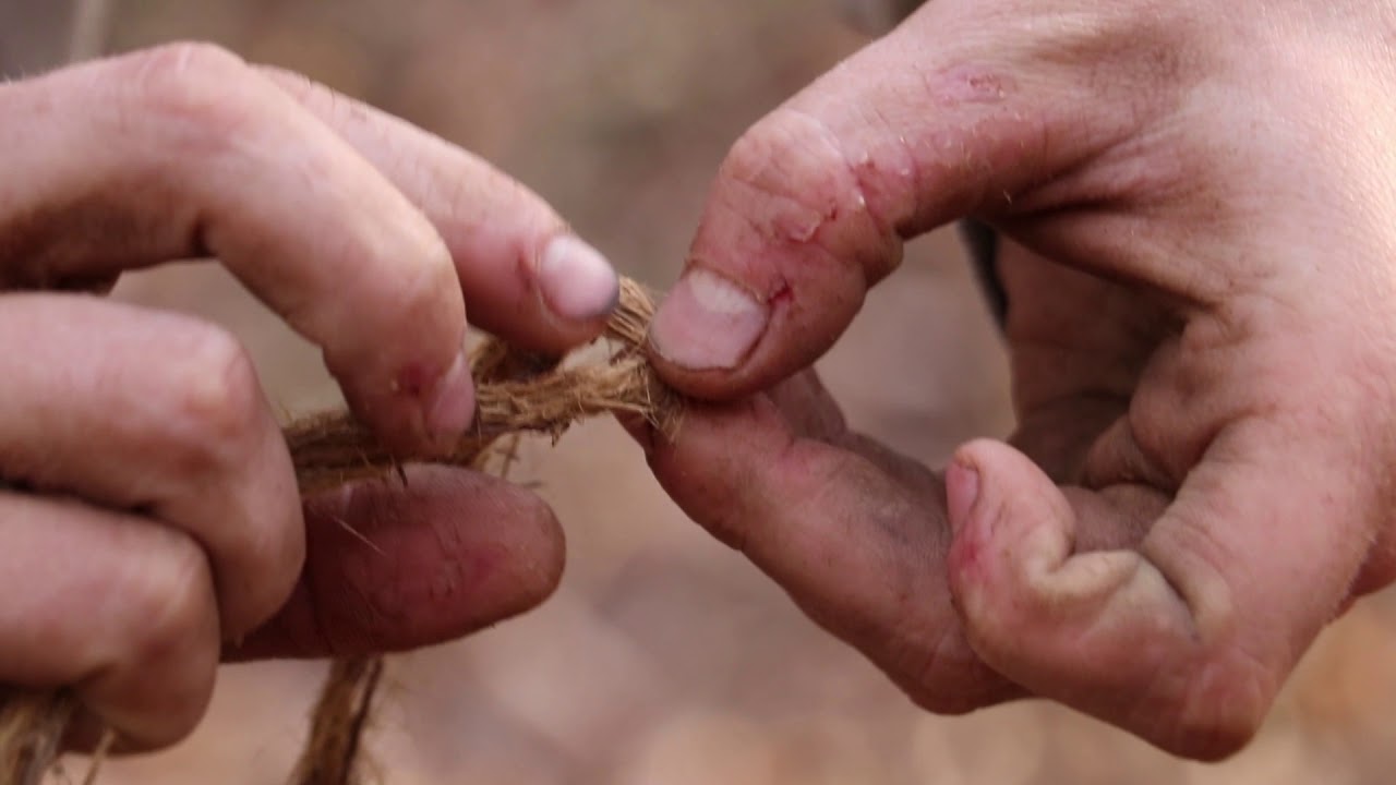 How To Make Primitive Cordage From Cedar