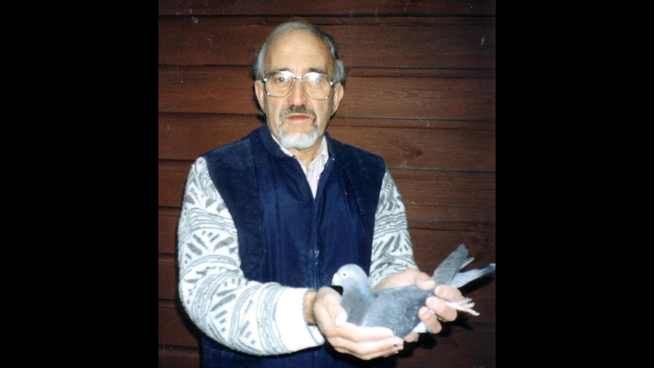 Video 117: George Burgess of Wraysbury: Premier Pigeon Racer