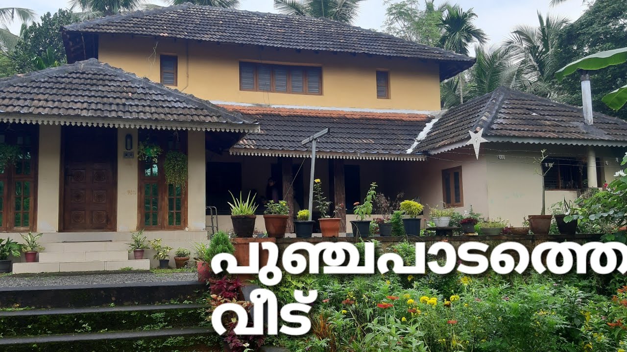 Kadambazhipuram| Punchapadam | Small but beautiful house