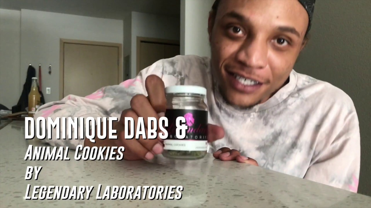 Animal Cookies Strain Review | Legendary Labs | Dominique Dabs
