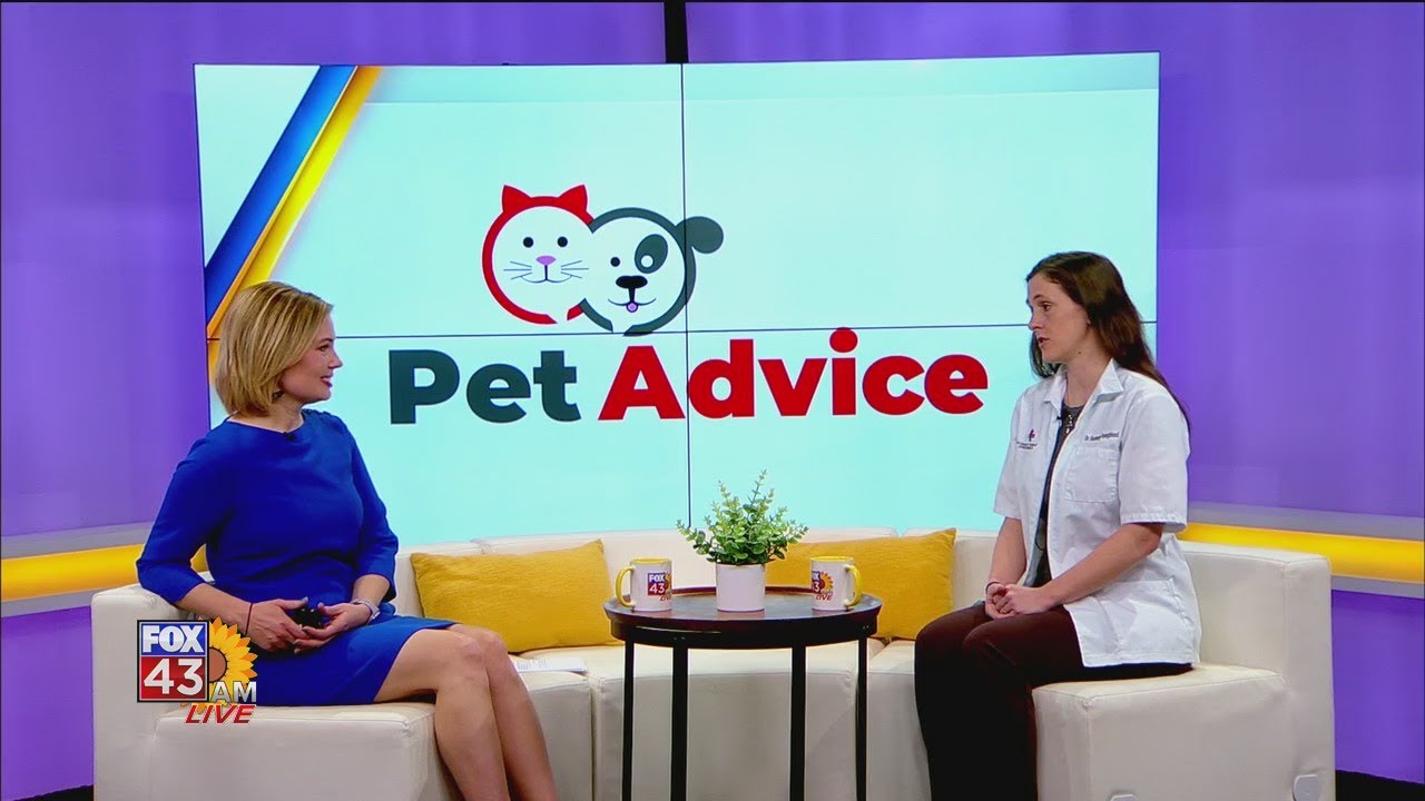 Pet Advice: Bird Flu Concerns