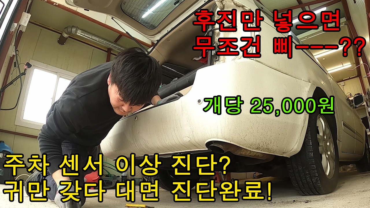 카니발 후방 주차센서, 고장 진단부터 교체 수리까지! 귀를 가까이 대보세요!