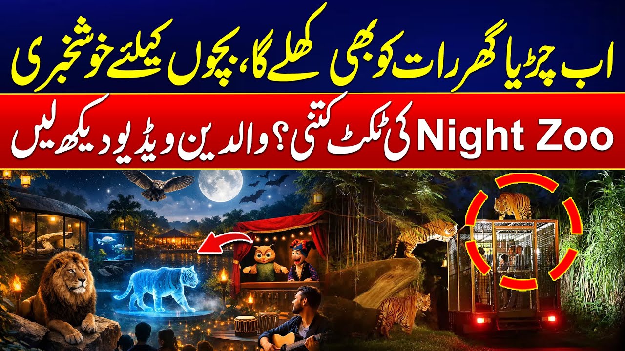 Good News For Children - Lahore Zoo Will Open At Night Too - 24 News HD