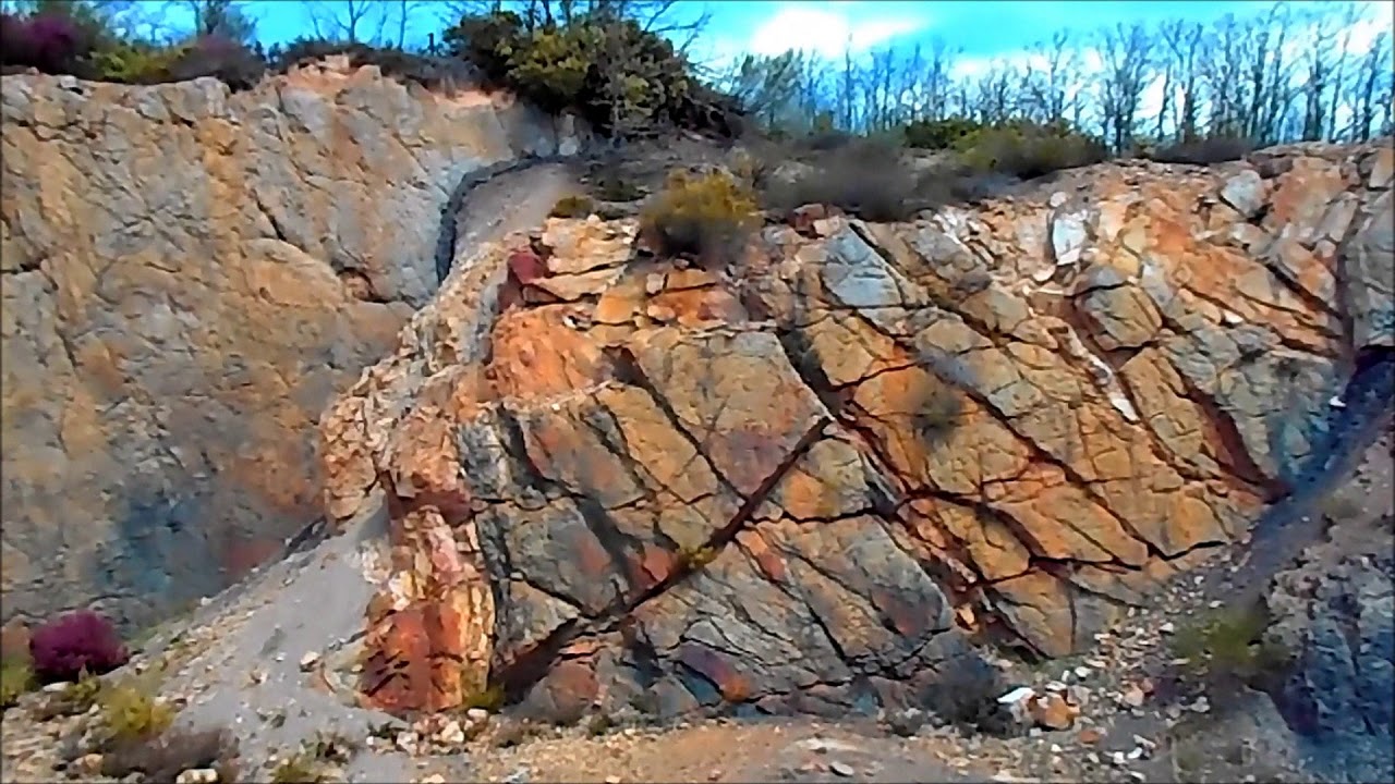 Bosque F&oacute;sil de Verde&ntilde;a,Valle de Castiller&iacute;a,Monta&ntilde;a Palentina