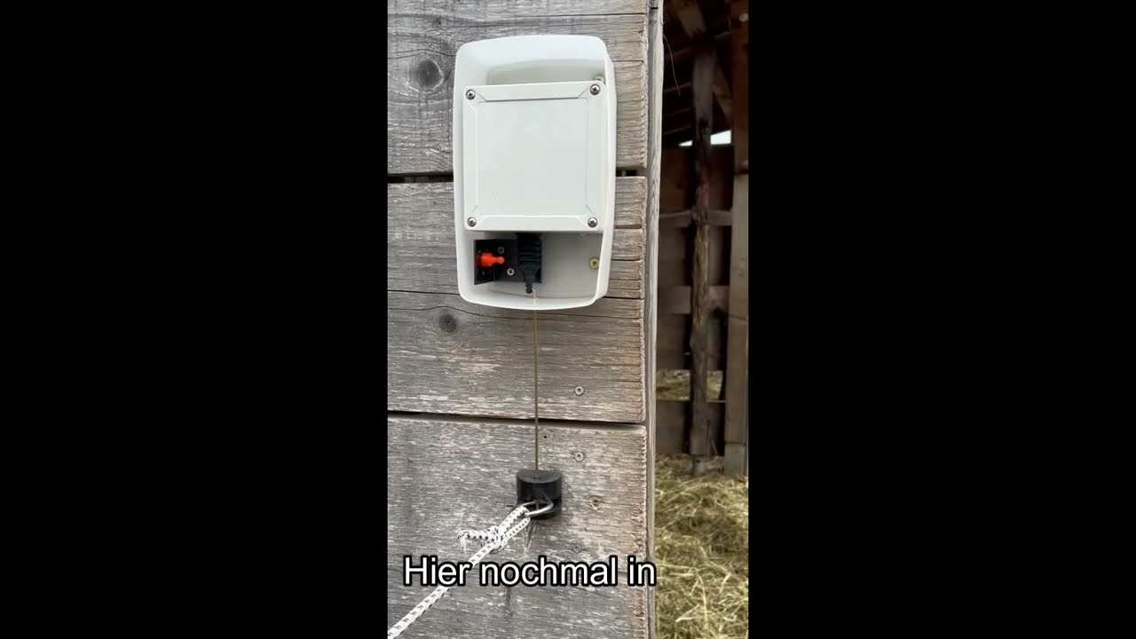 Pferdetor