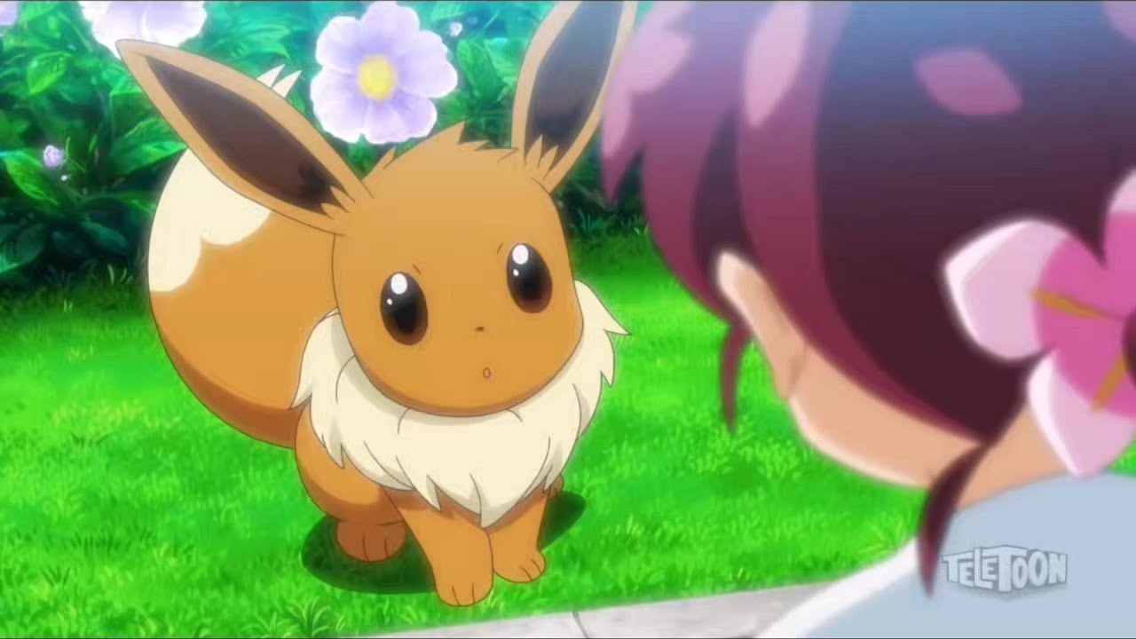 Pokemon Journeys Chloe Meet's Eevee