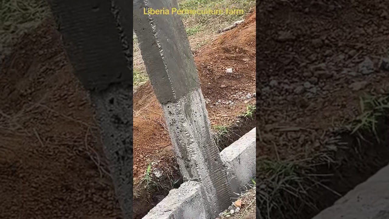 Liberia farm update 2025