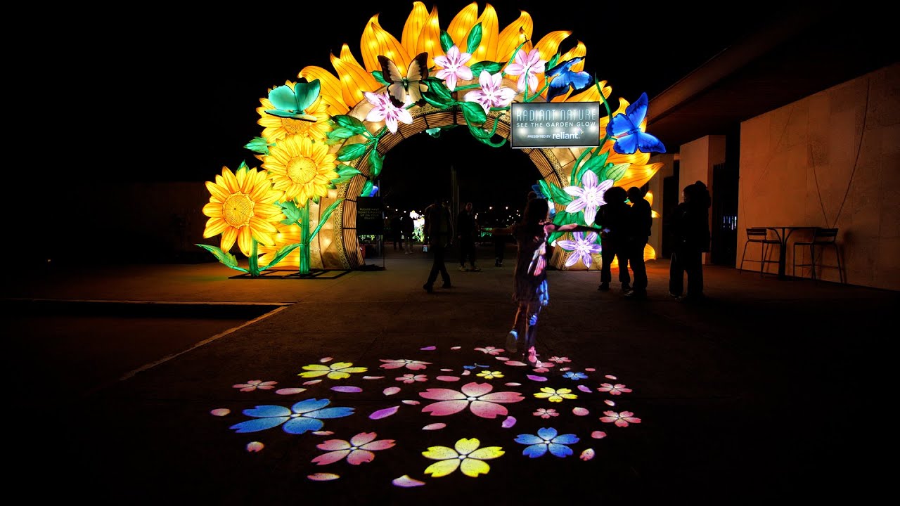Explore Radiant Nature at Houston Botanic Garden