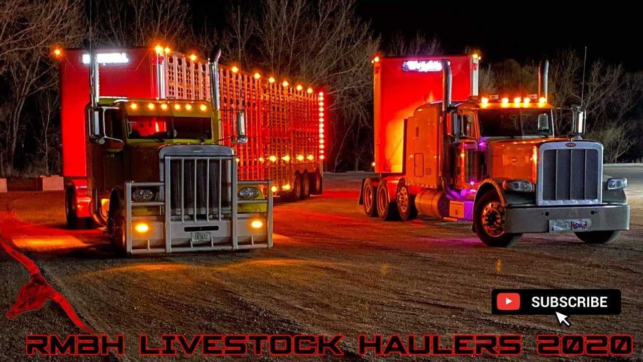 Rocky Mountain Bull Hauler 2020