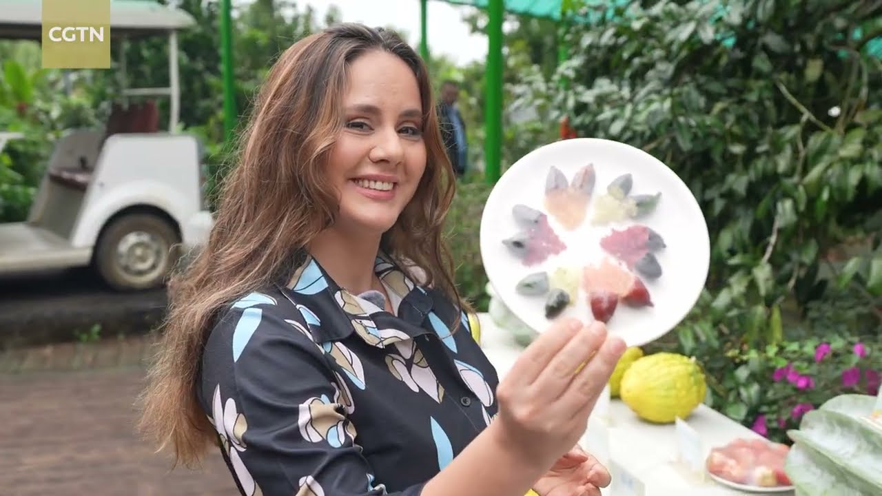 Hainan's tropical revolution: Where global fruit meets innovation