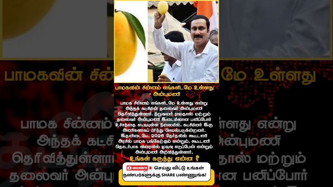 PMK Symbol With Us, Says Anbumani | Party Rift & 2026 Election Alliance Update