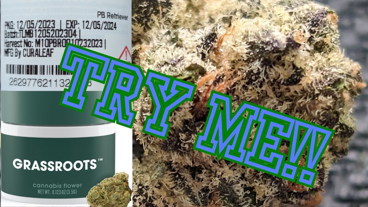 The truth about Curaleaf Flower - Grassroots Branded Flower | PB Retriever REVIEW | Consistent Zaza!