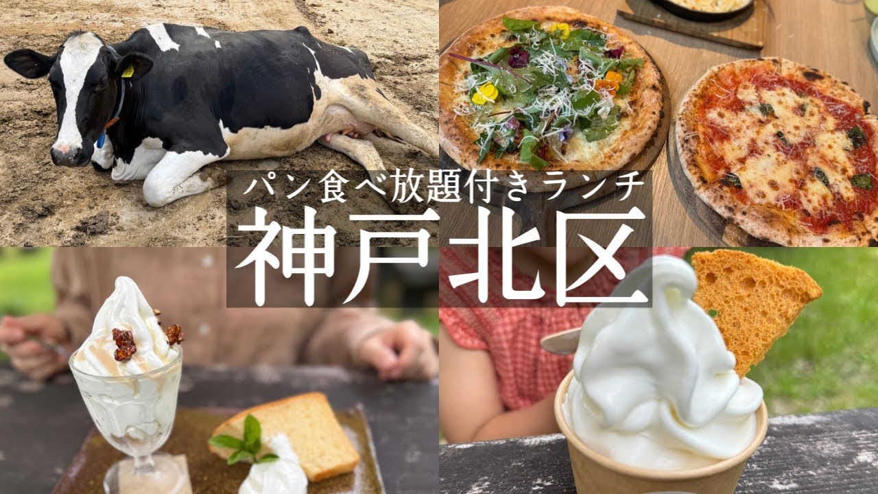 【神戸市北区】自然の中のグルメ巡り⛰️パン、カレー食べ放題付きランチに大満足🍛絶品蜂蜜のピザ🍕神戸養蜂場&弓削牧場の中にあるレストラン🐮チーズハウスヤルゴイ&観葉植物プランツバカ&ブルーベリー狩り風舎
