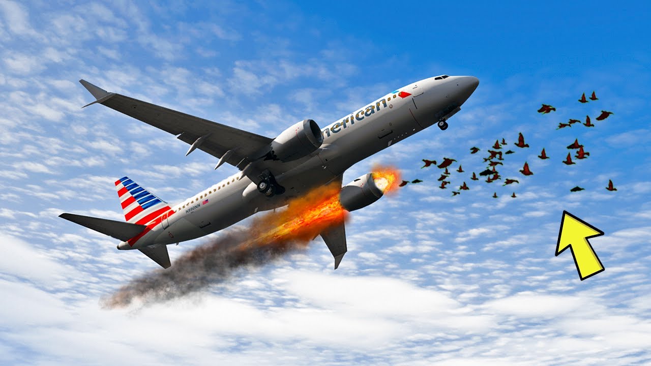 Boeing 737 Bird Strike And Makes TWO Emergency Landings - GTA 5