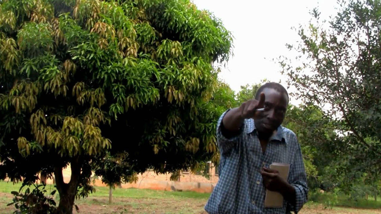 Giving Voice to the Voiceless - The African Farm Radio Research Initiative
