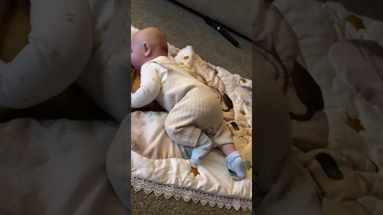 Just my 4 month old trying to crawl 😅🤩✨ Poprushusa 💓 