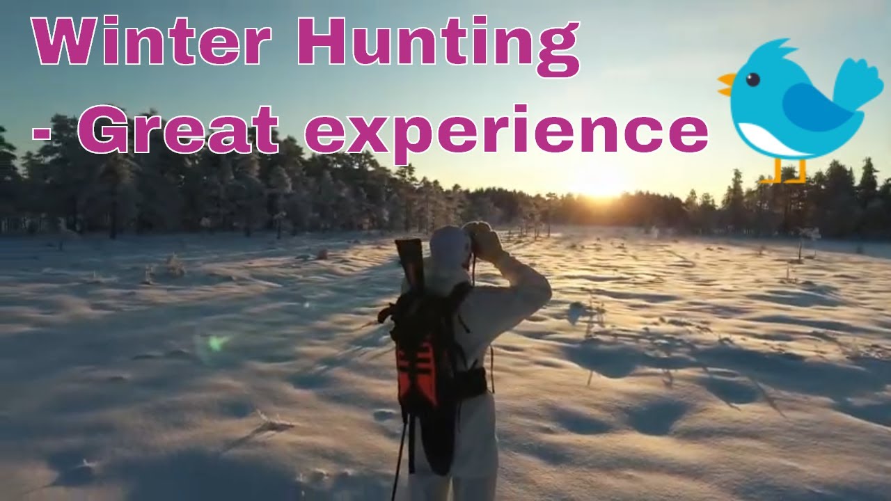 Jaktåret del 3 - Toppjakt & vinterjakt på skogsfugl og rype / Small Game Hunting 2019: Part 3