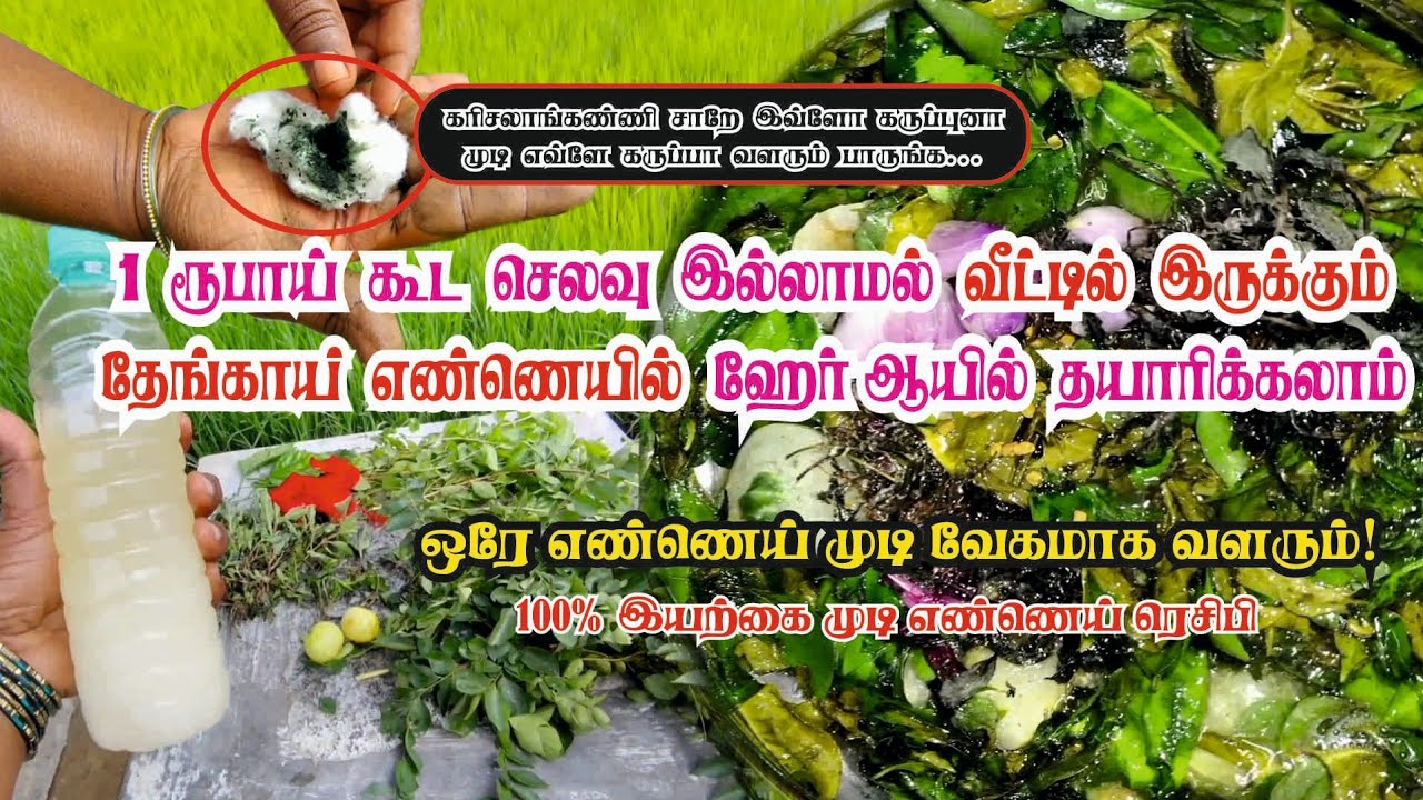 💆‍♀️முடி பிரச்சனைக்கு வீட்டிலேயே தீர்வு 💁 Chemicalஇல்லாமல் super ஹேர் ஆயில் செய்வது எப்படி #hairoil 