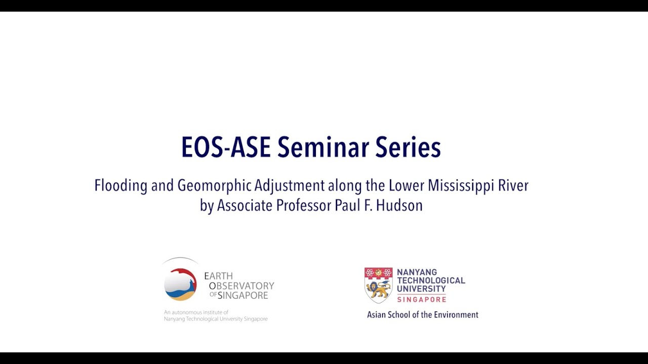 Flooding and Geomorphic Adjustment along the Lower Mississippi River