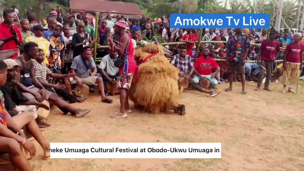Iheaneke Umuaga Cultural Festival at Obodo-Ukwu Umuaga in Udi LGA, Enugu State