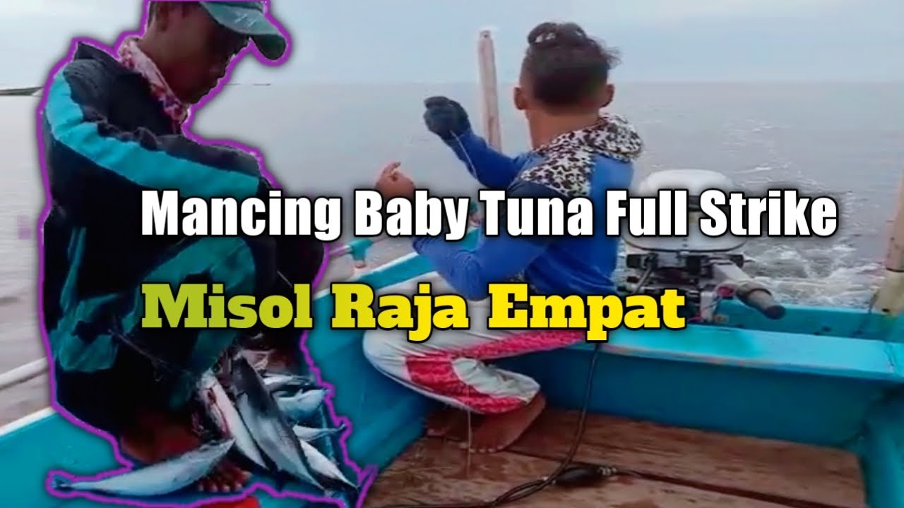 Mancing Ikan Tuna di Laut Misol Raja Empat |Full Strike Baby Tuna