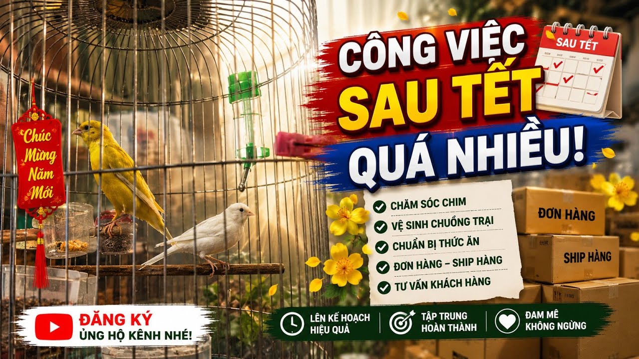 chim yến hót đồng nai