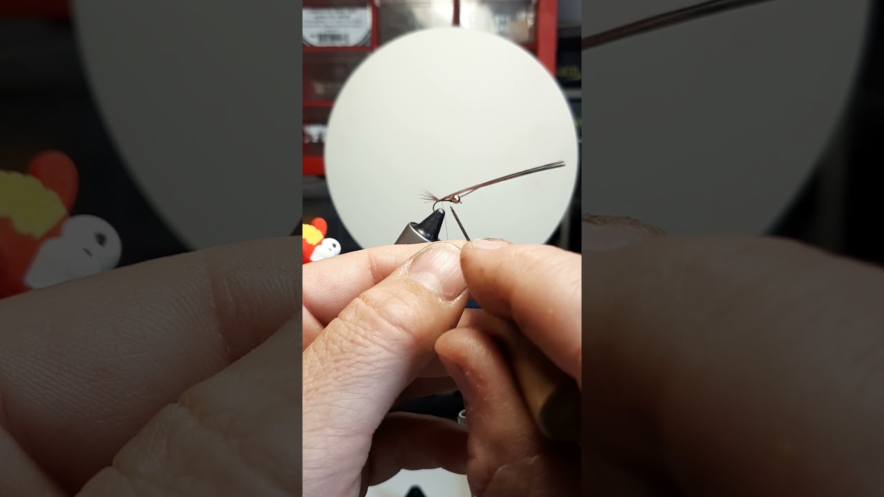 Nymphe, une base simple et plusieurs combinaison.