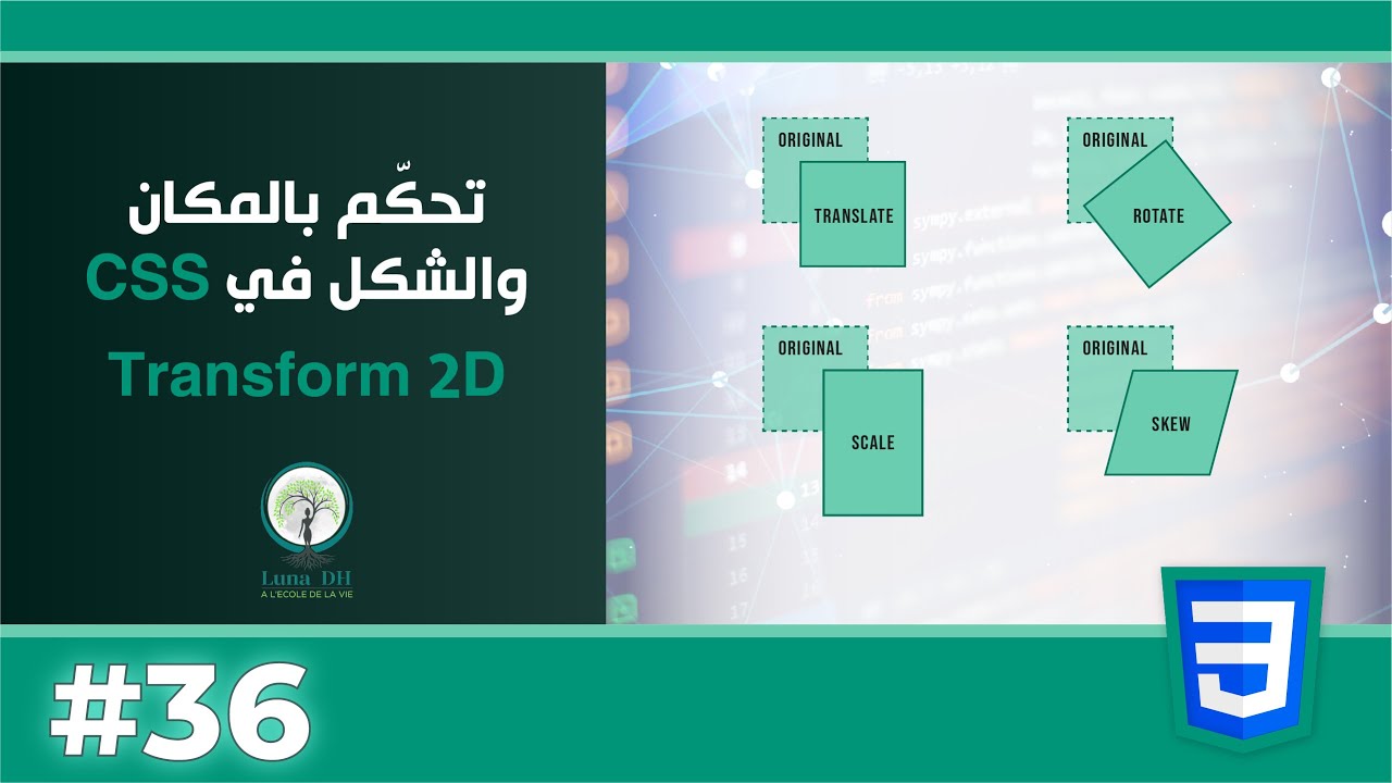 🎓 الدرس 37 : أقوى تأثيرات CSS 2D Transform — Translate, Rotate, Scale, Skew